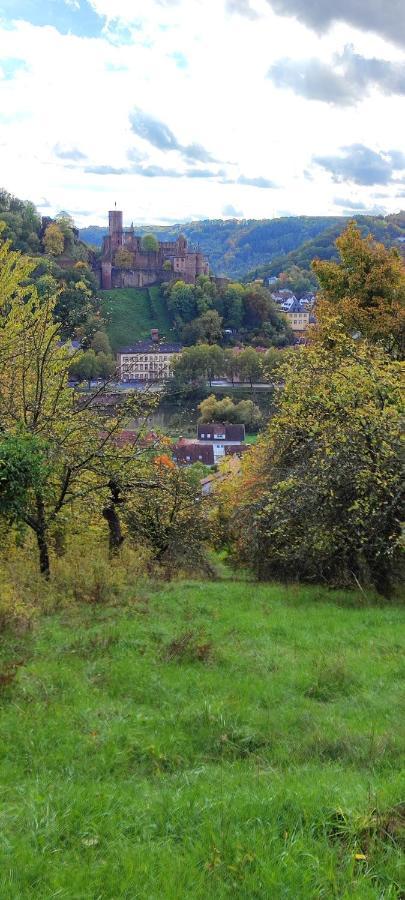 Fewo Traumblick Kreuzwertheim エクステリア 写真